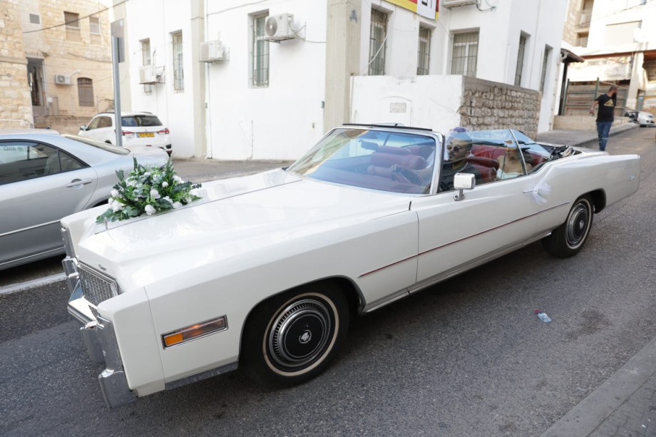 WhatsApp Image 2023-01-12 at 17.00.37.jpeg